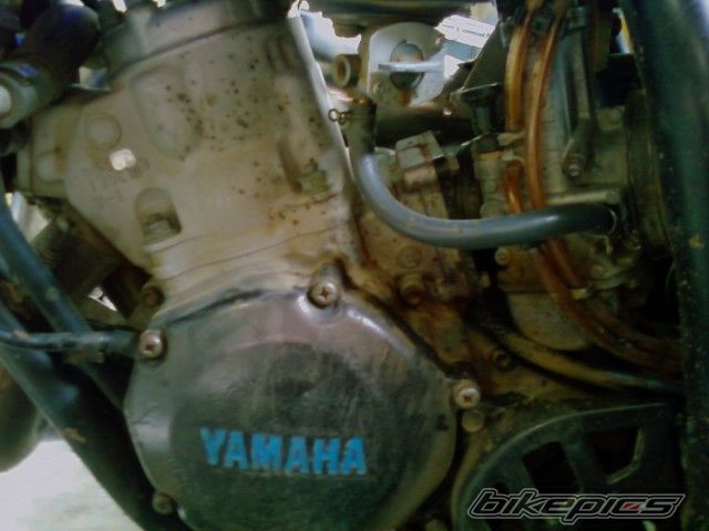 Photo 1629887