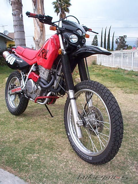 Photo 1629995
