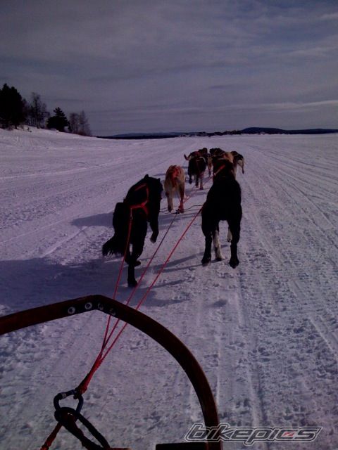 Photo 1630025