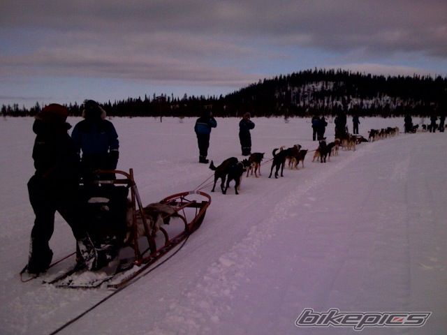 Photo 1630031