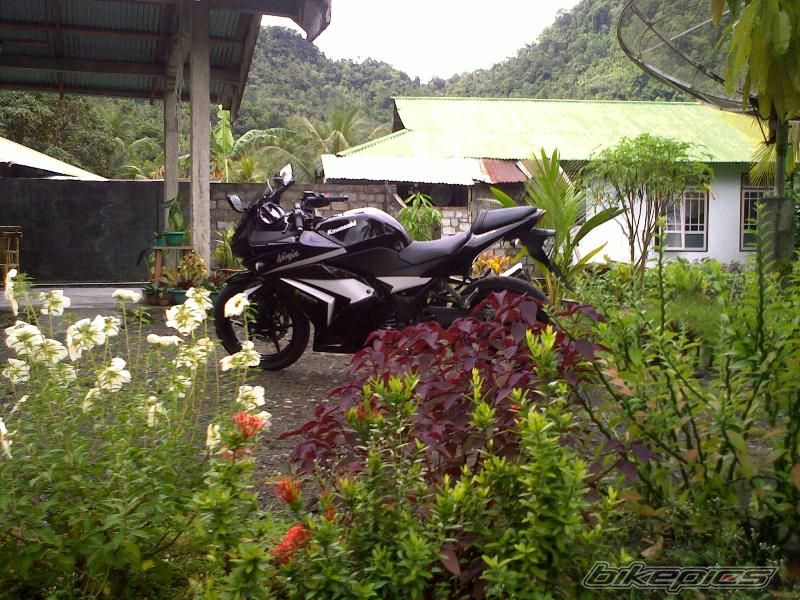 Photo 1630081