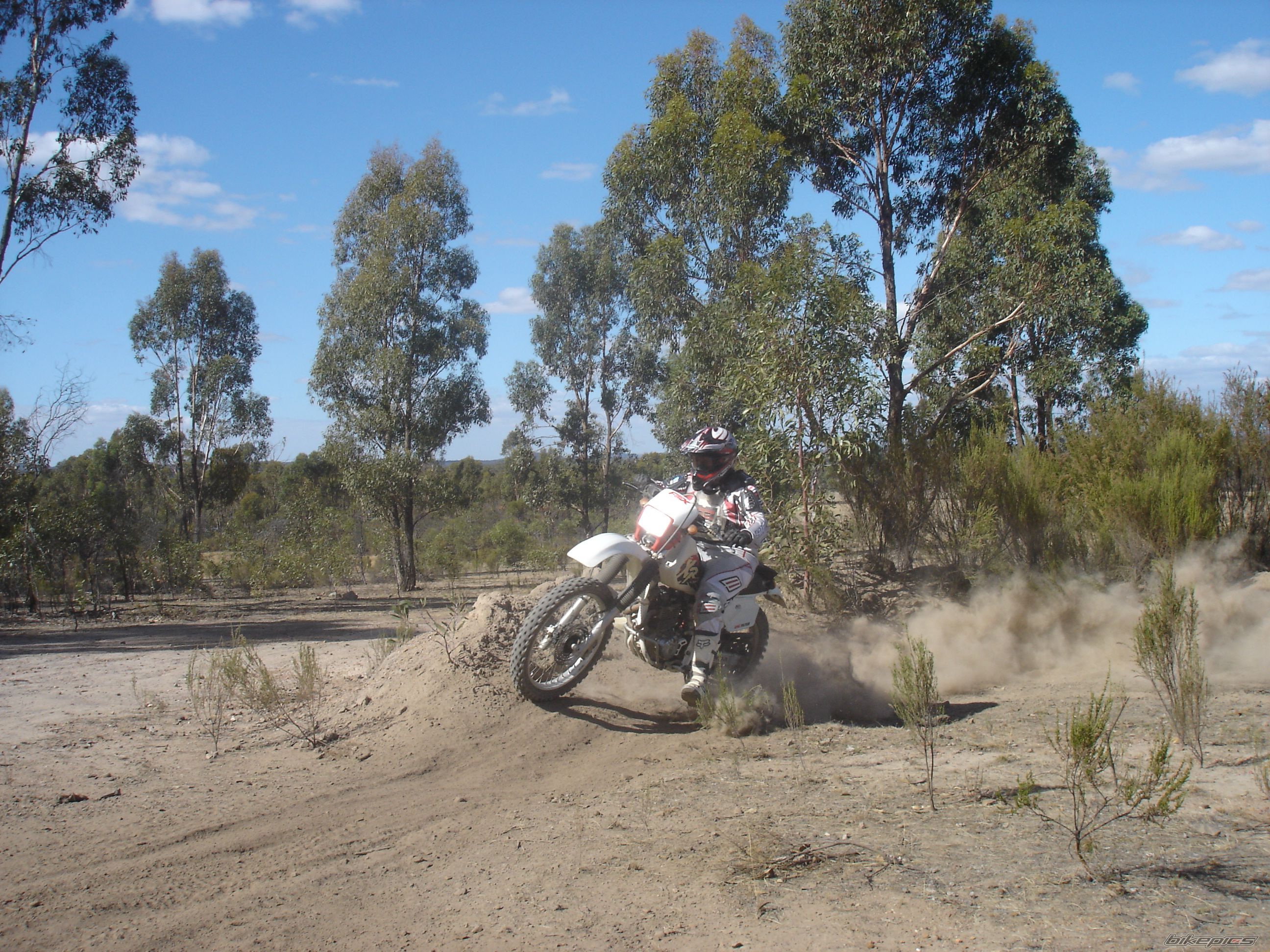 Photo 1630148