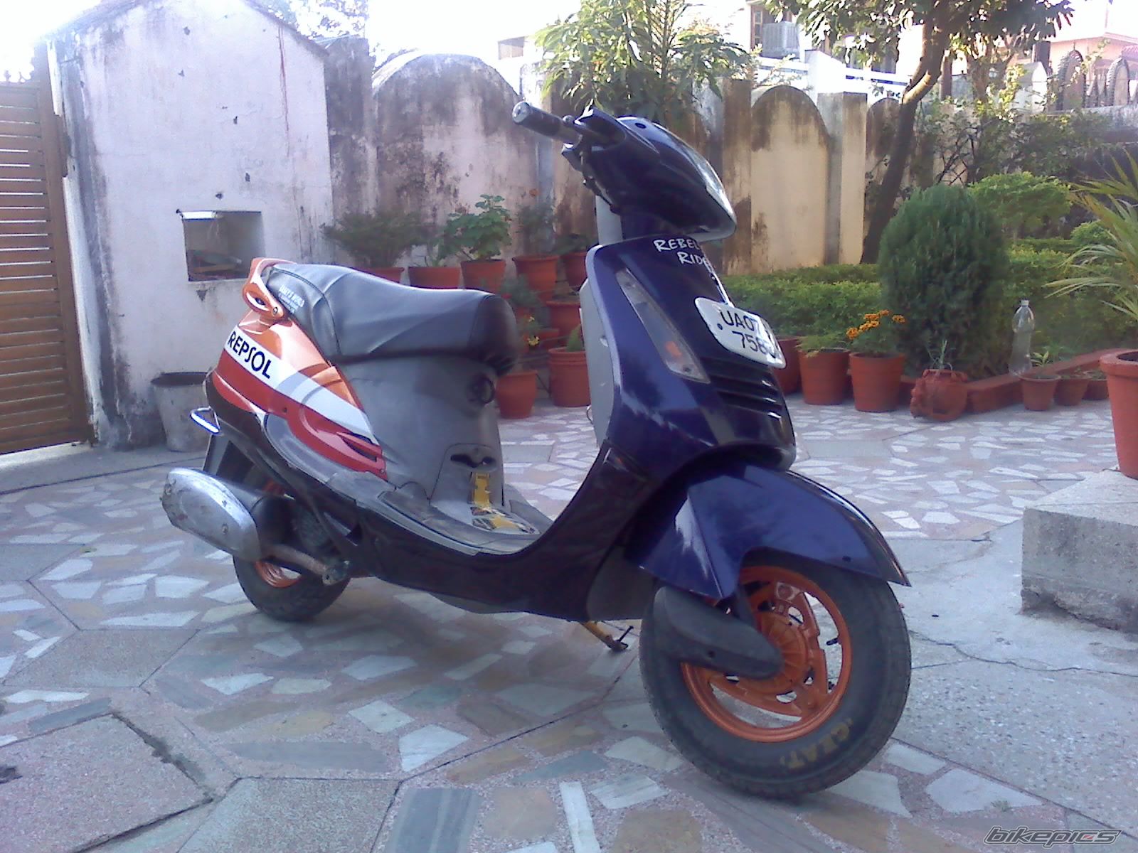 Photo 1630171