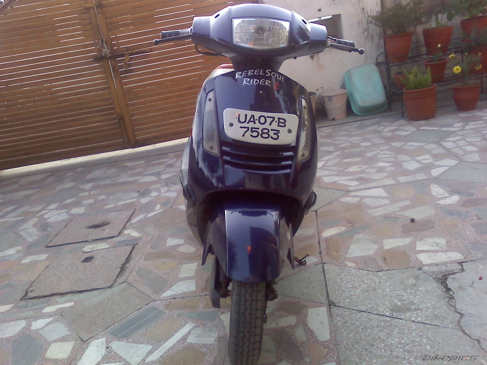 Photo 1630174