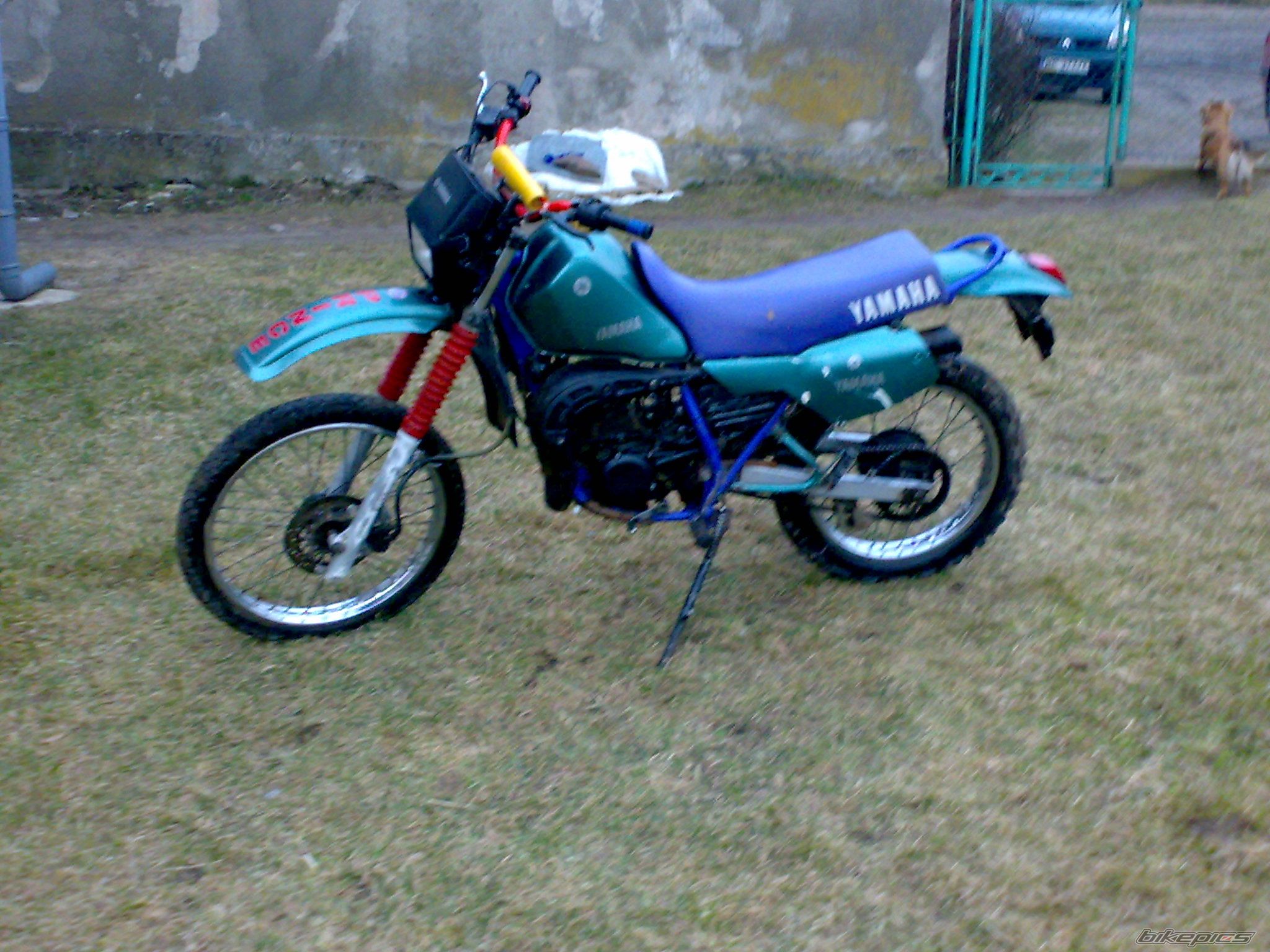 Photo 1630379