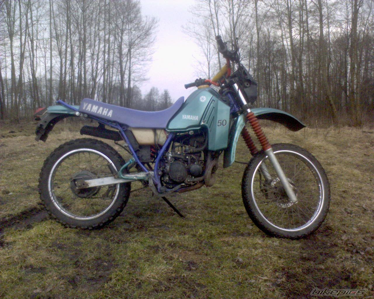 Photo 1630396