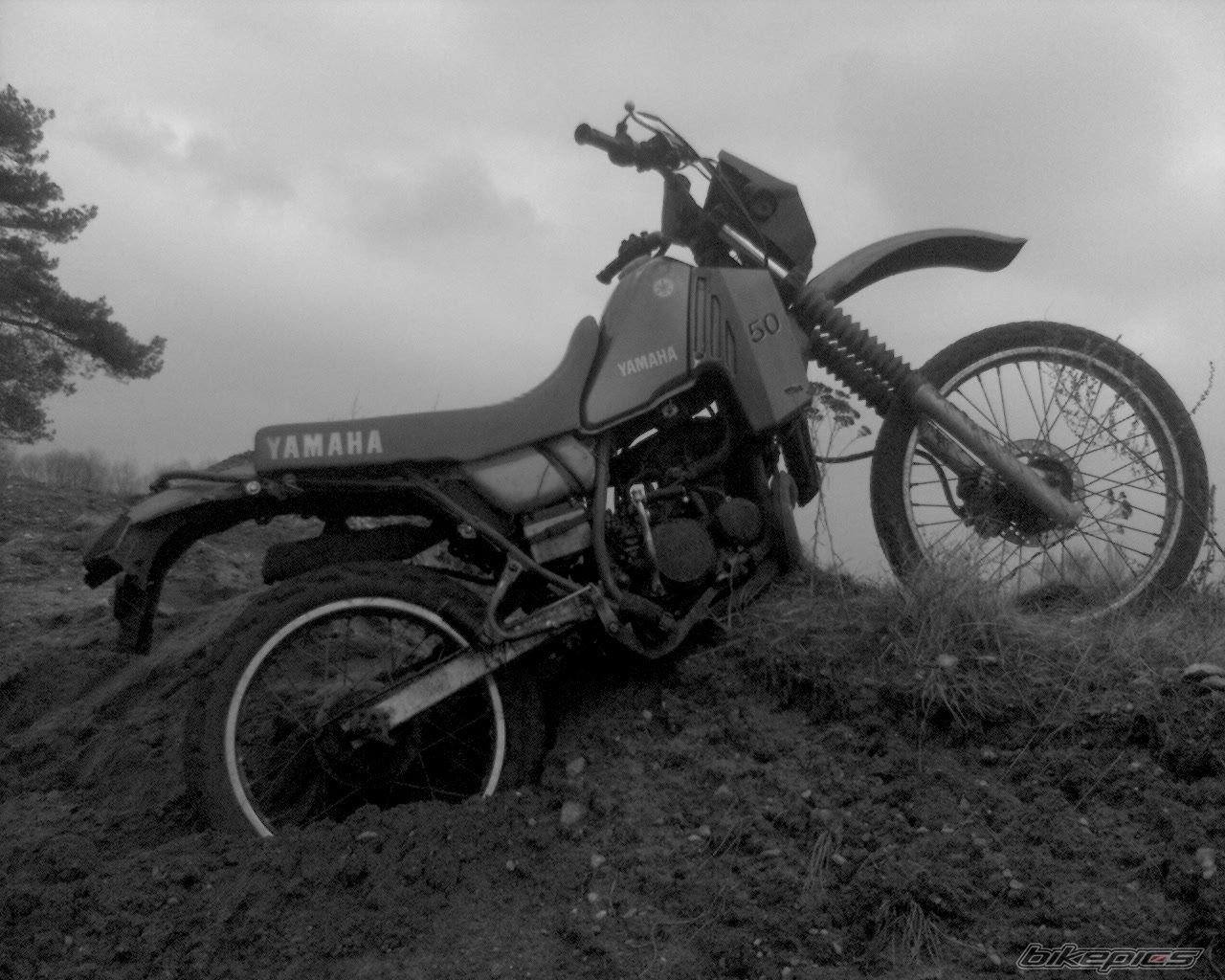 Photo 1630398