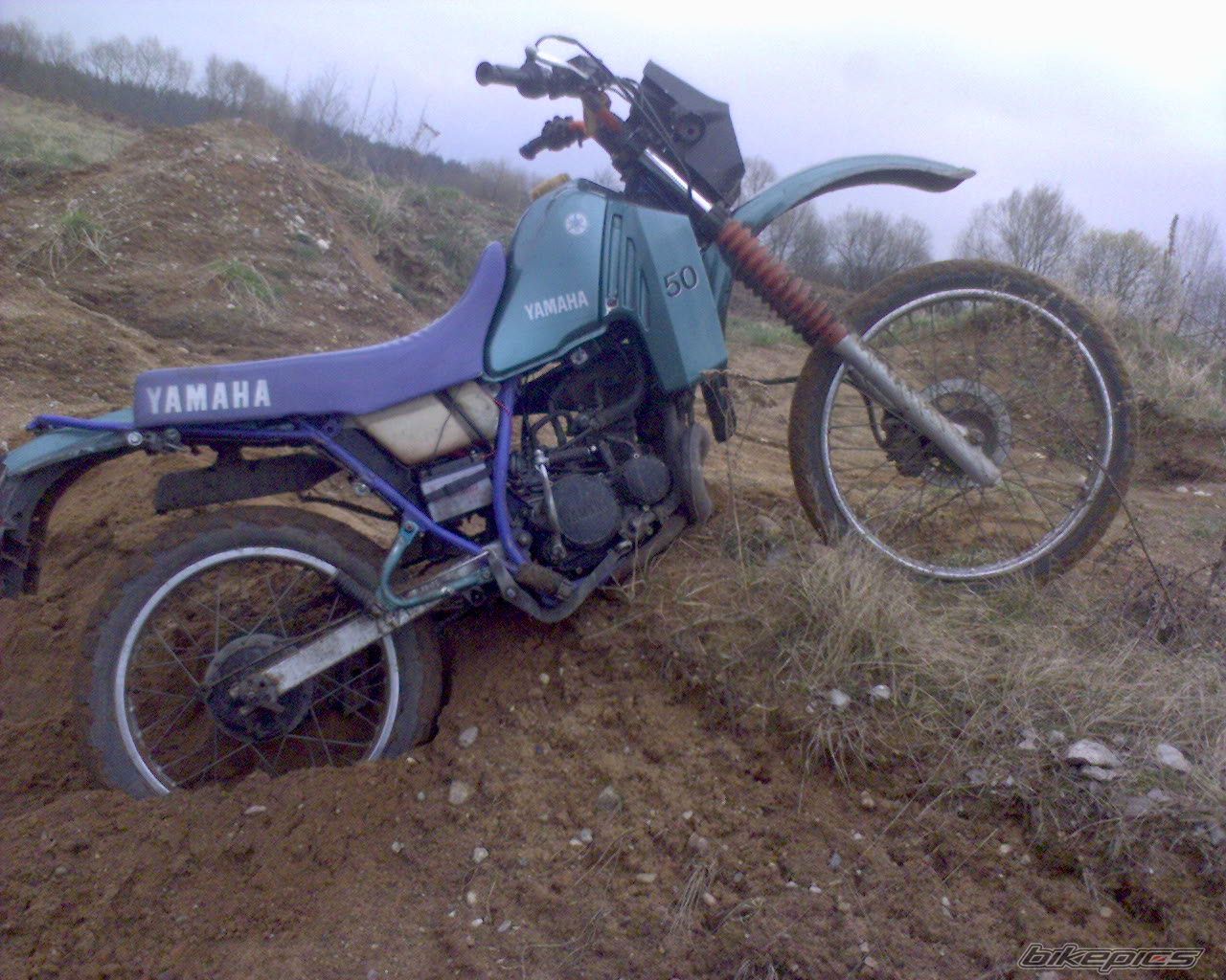 Photo 1630403