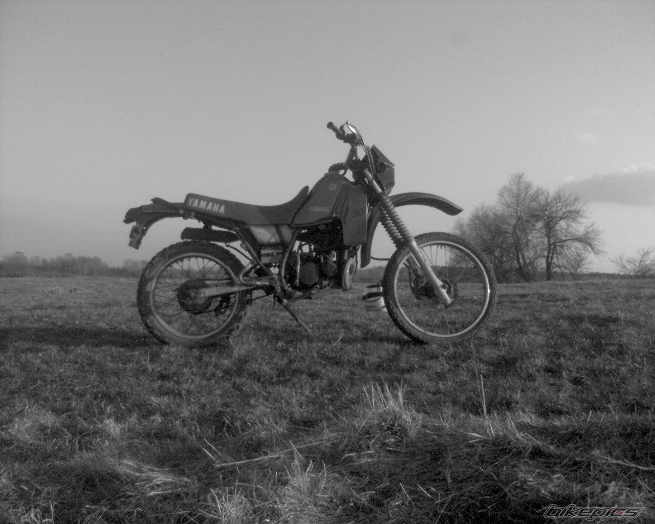 Photo 1630406