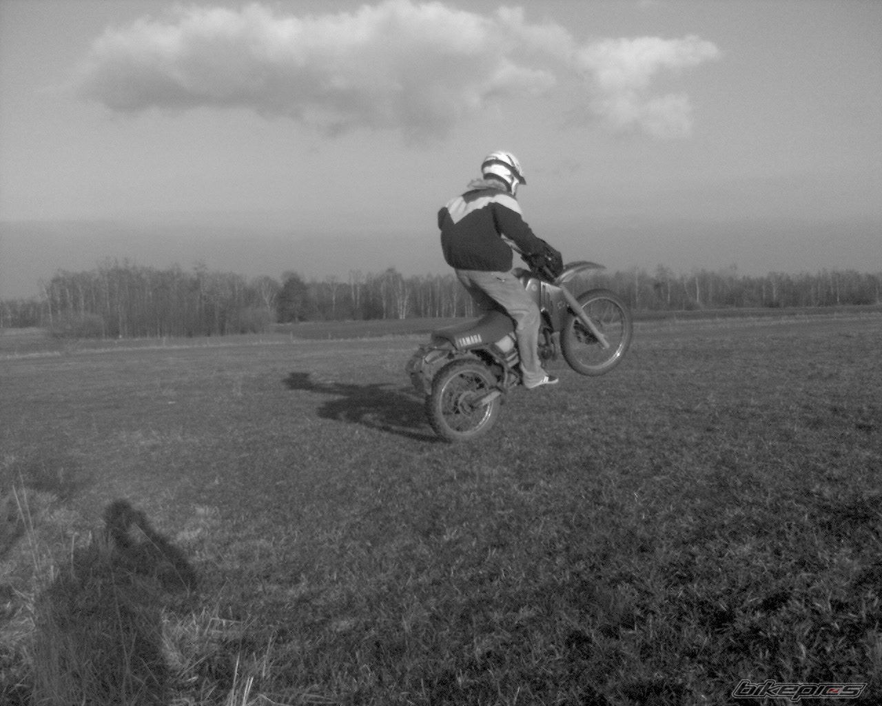 Photo 1630410