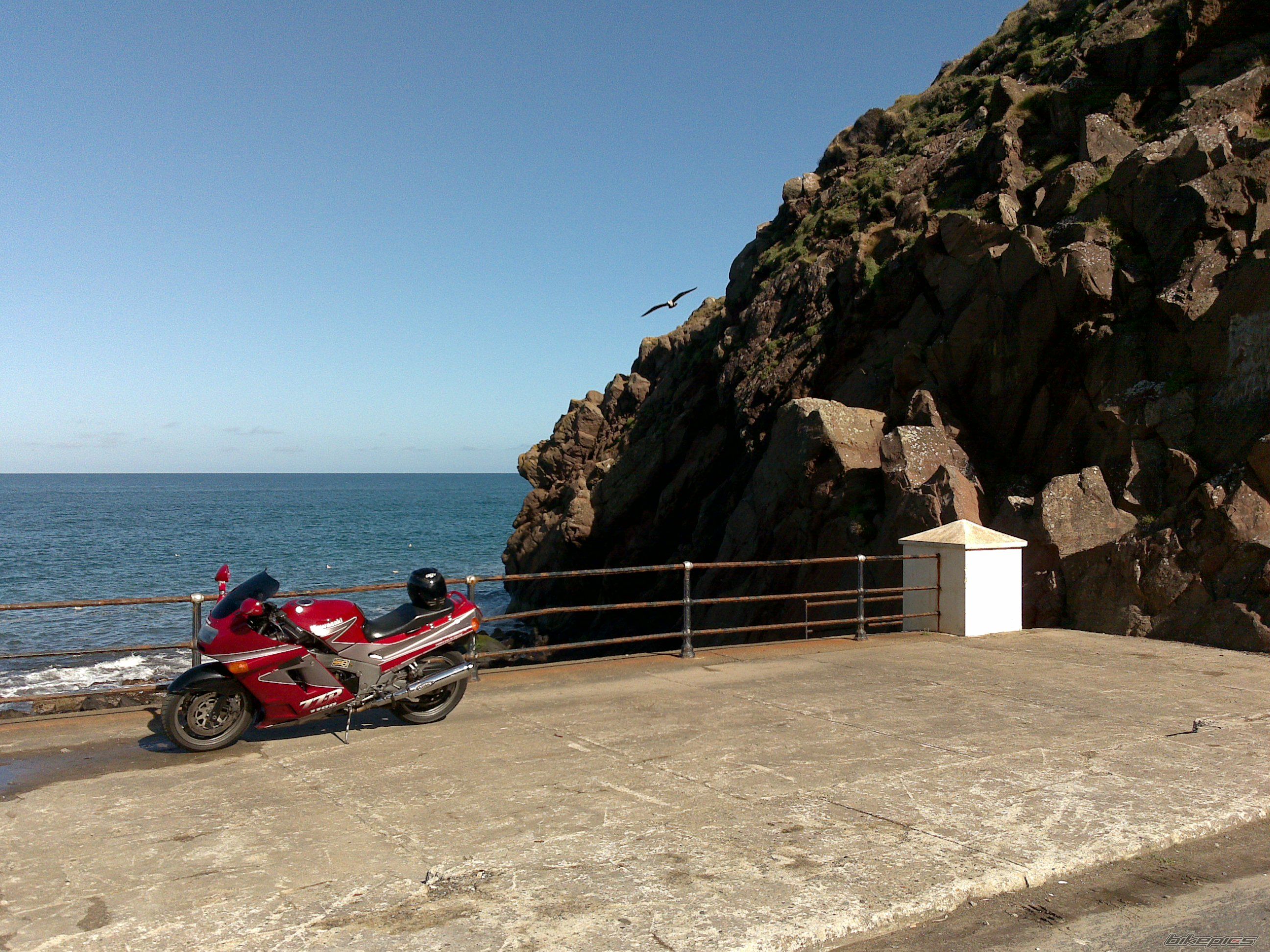 Photo 1630442