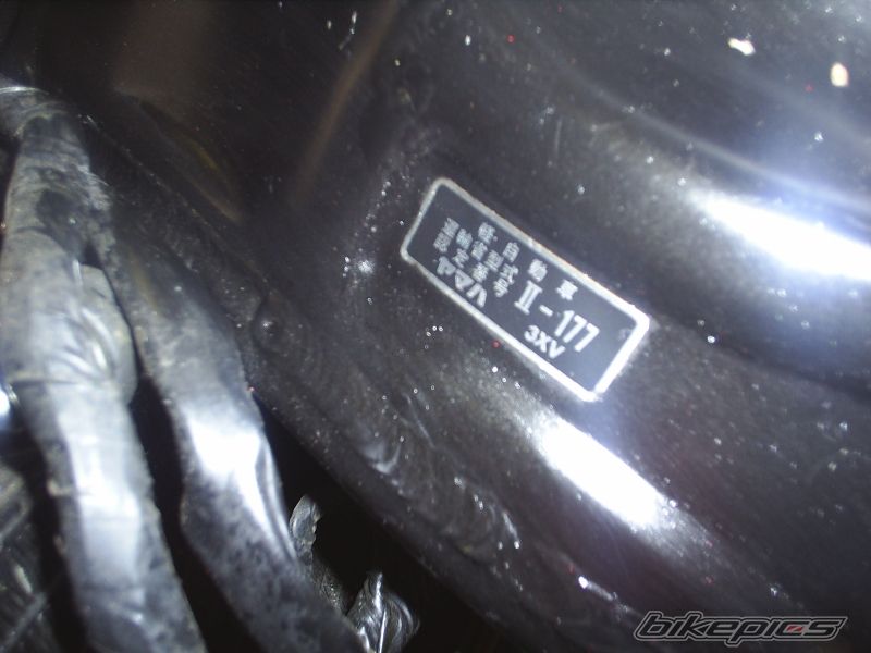 Photo 1630515