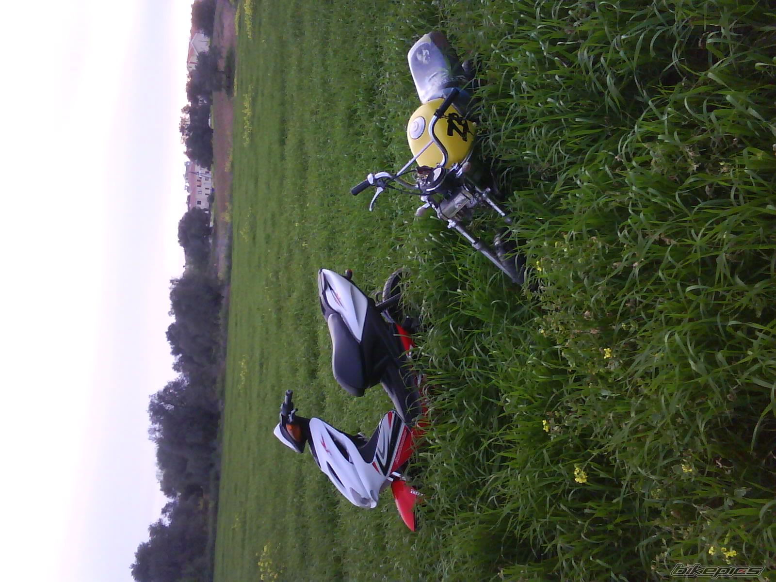 Photo 1630897