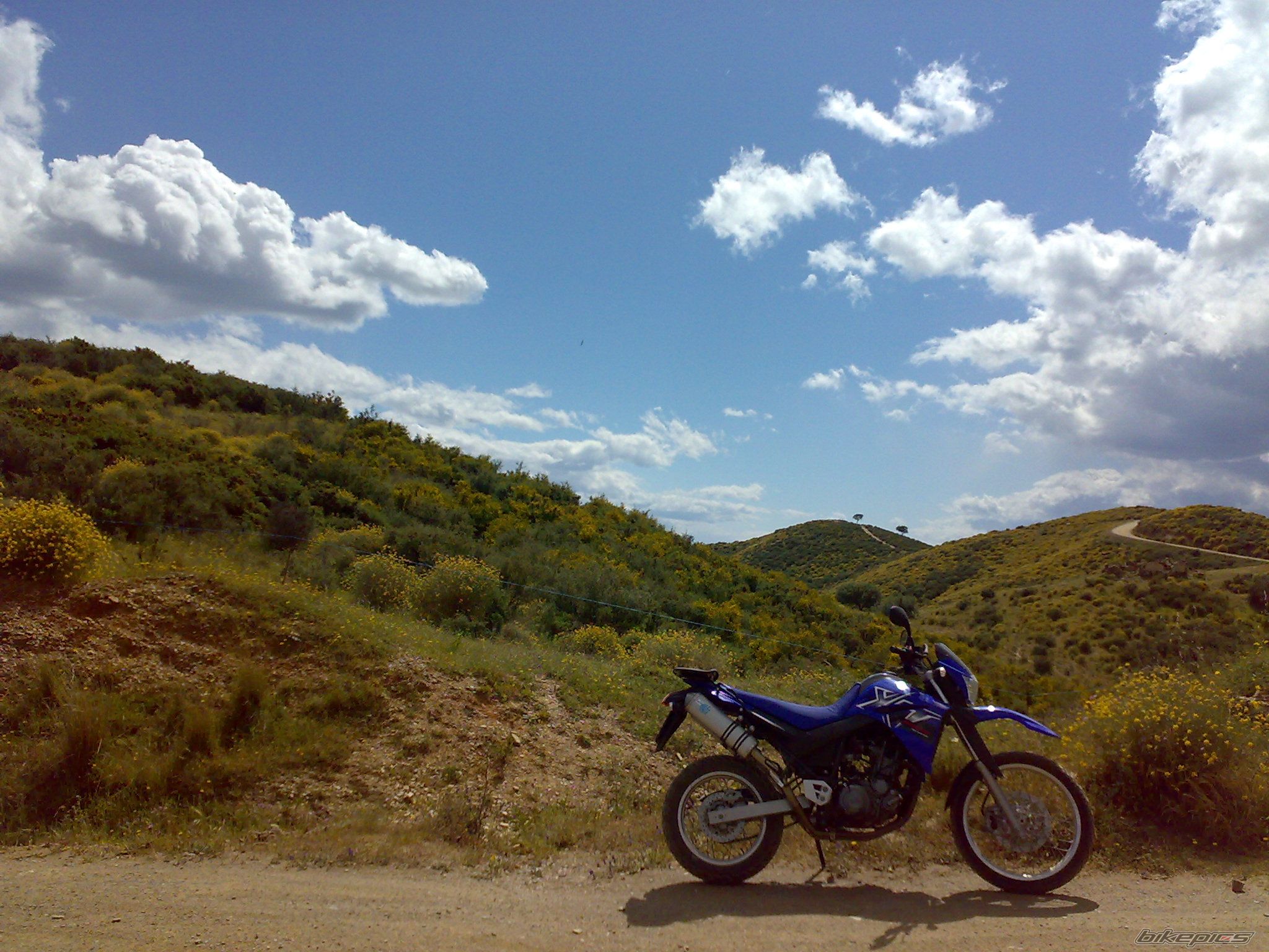 Photo 1630960