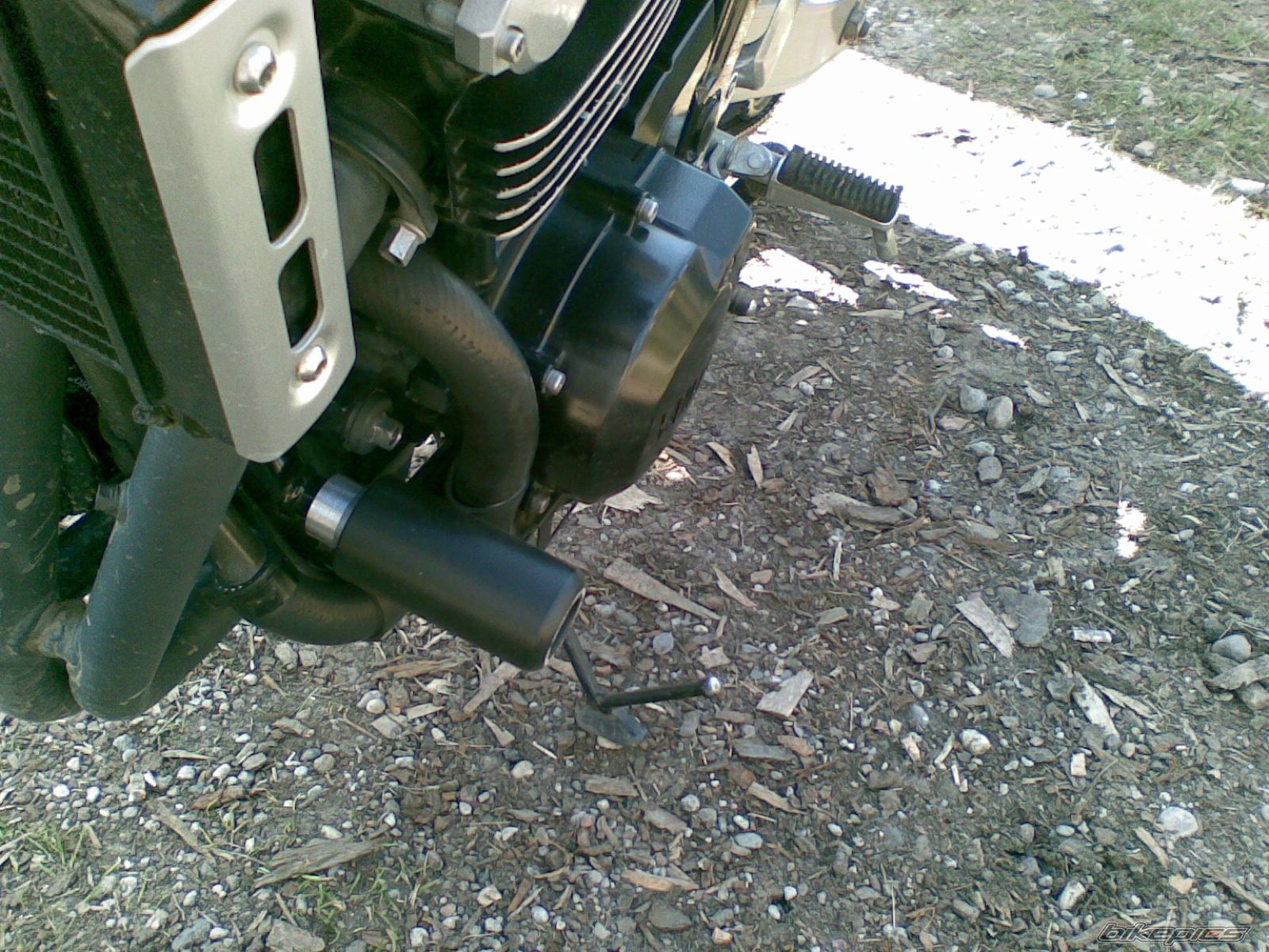 Photo 1631009