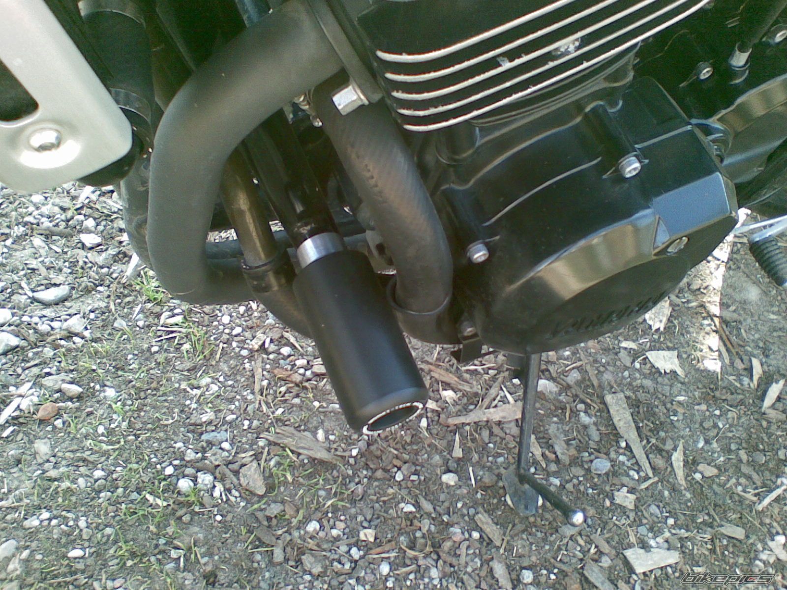 Photo 1631011