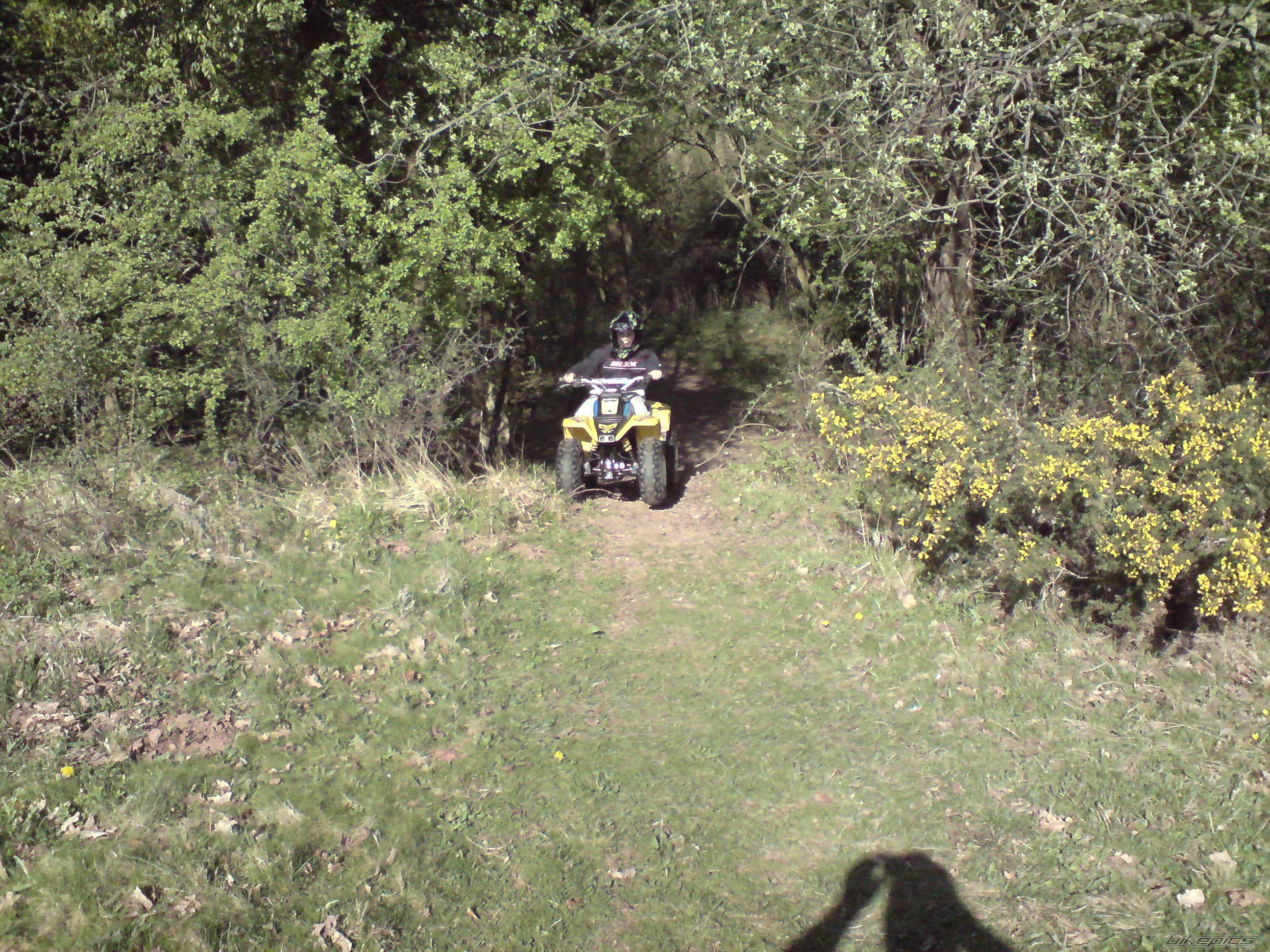 Photo 1631035