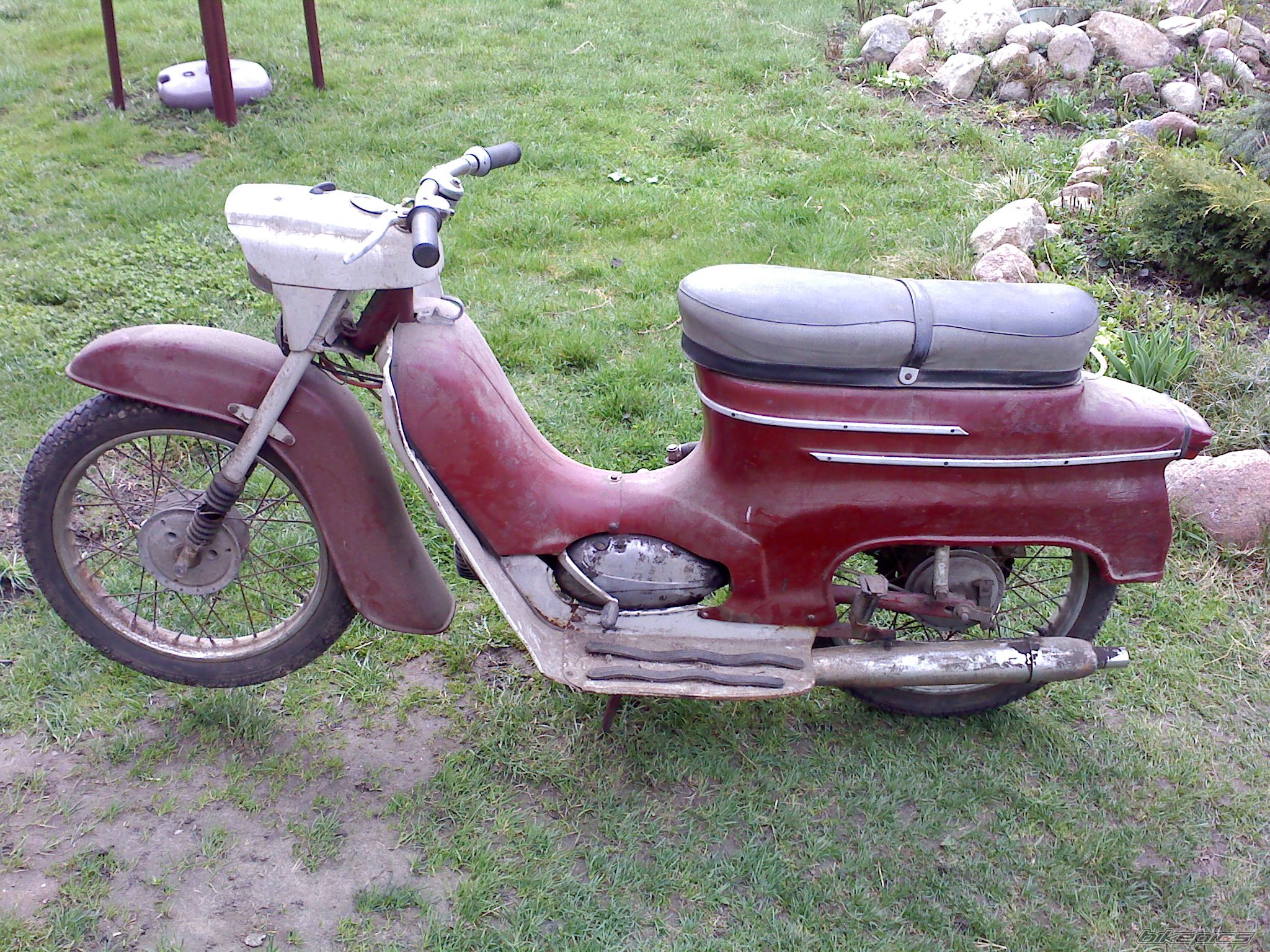 Photo 1631243