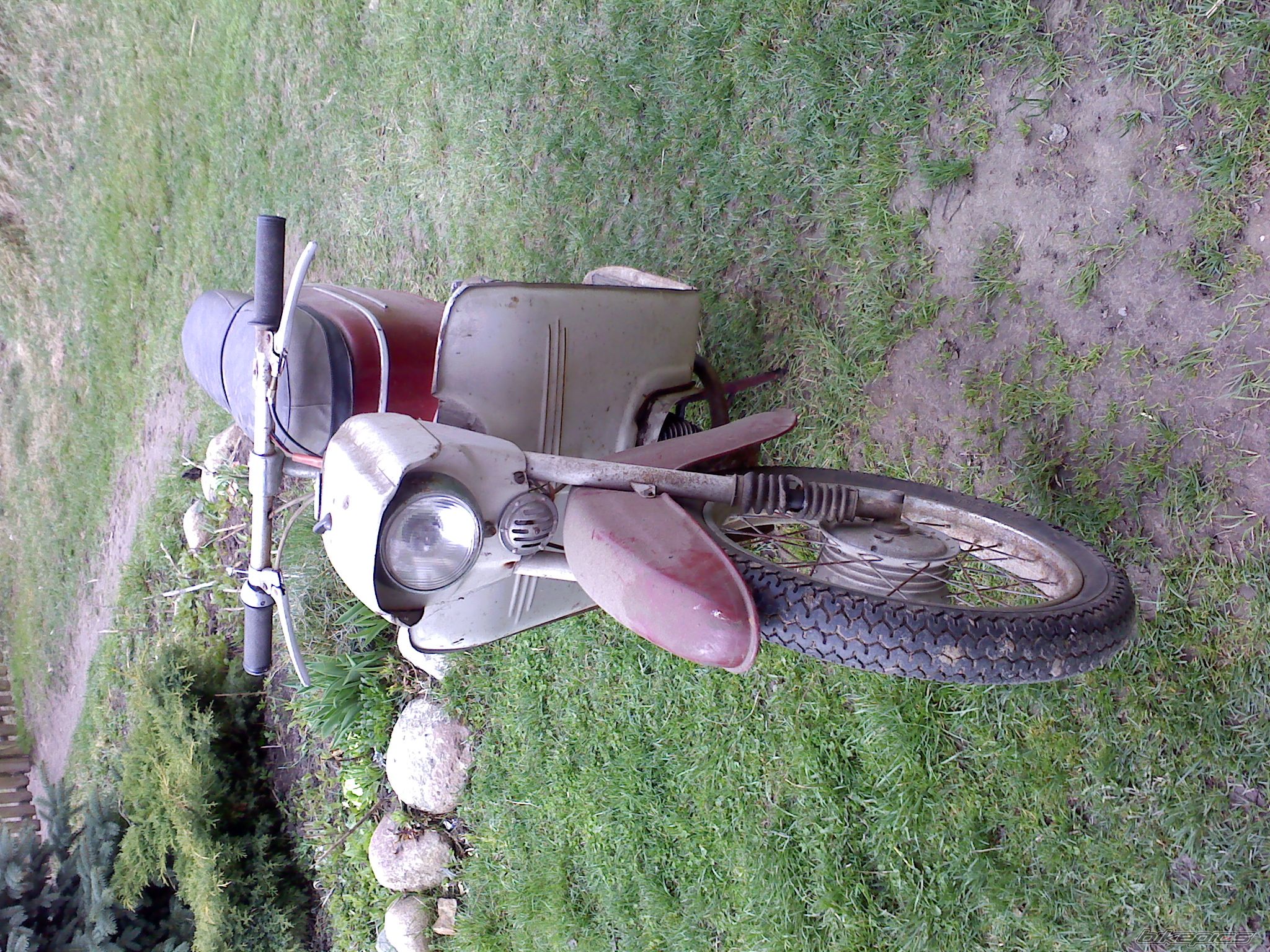 Photo 1631245