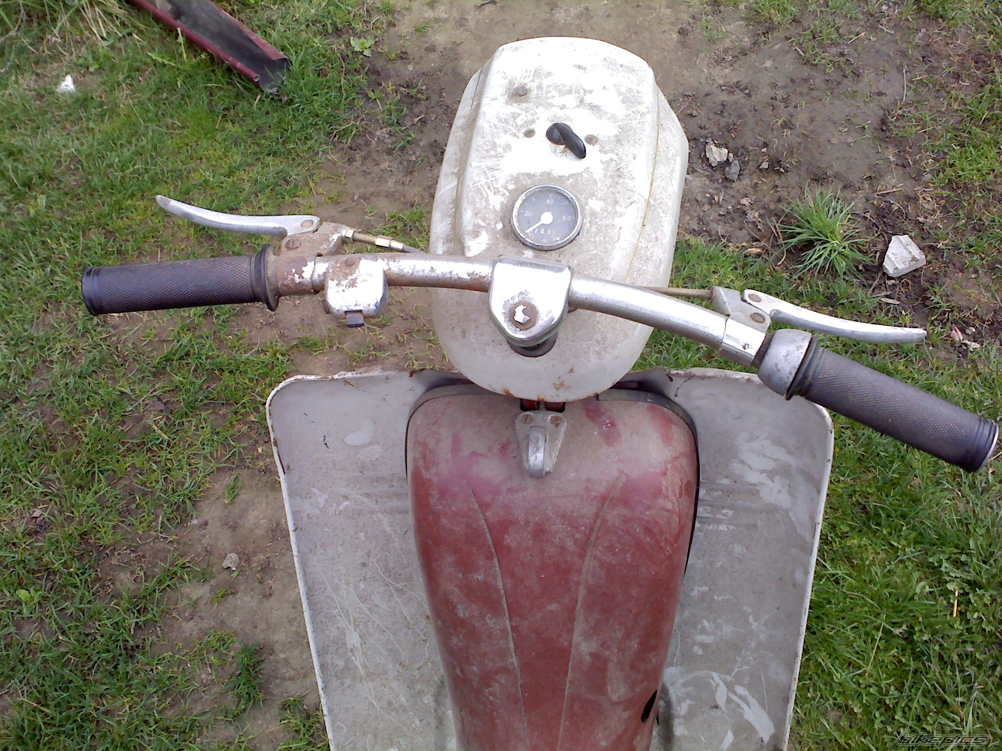 Photo 1631252