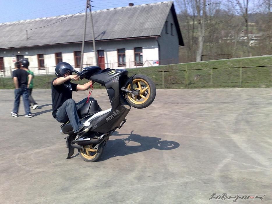 Photo 1631273