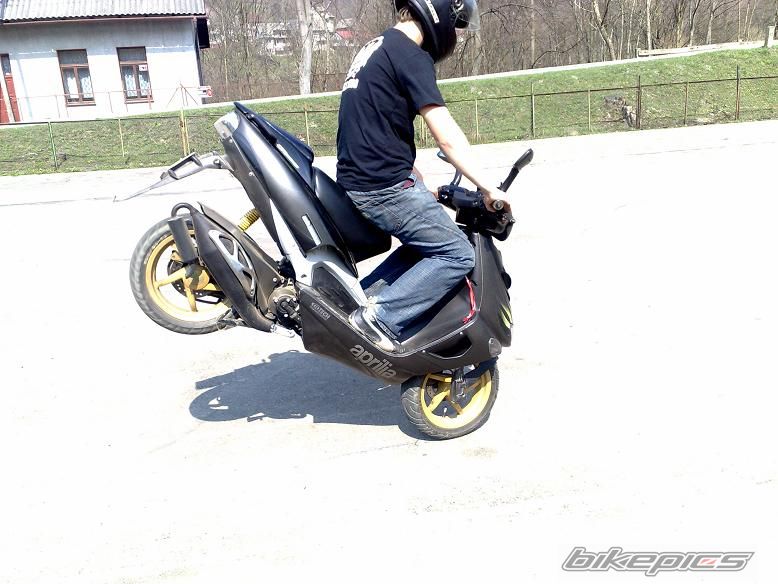 Photo 1631274
