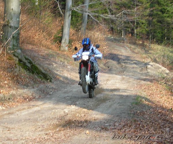 Photo 1631299