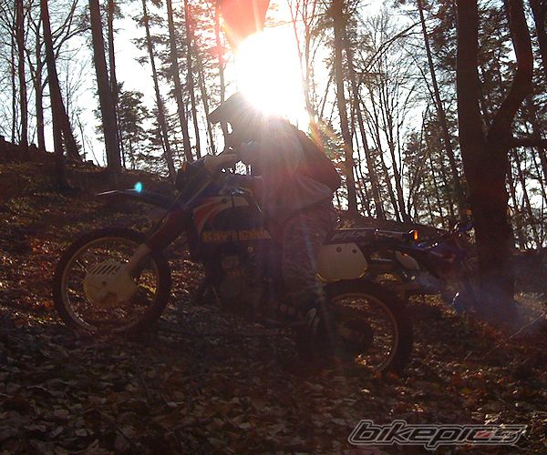 Photo 1631303