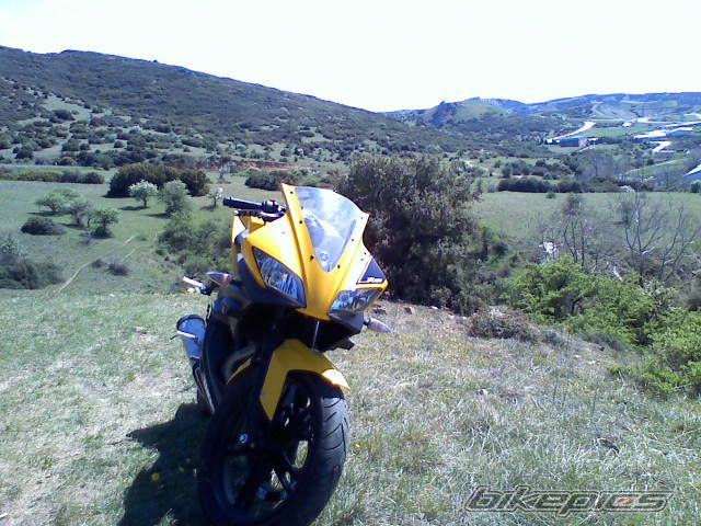 Photo 1631346