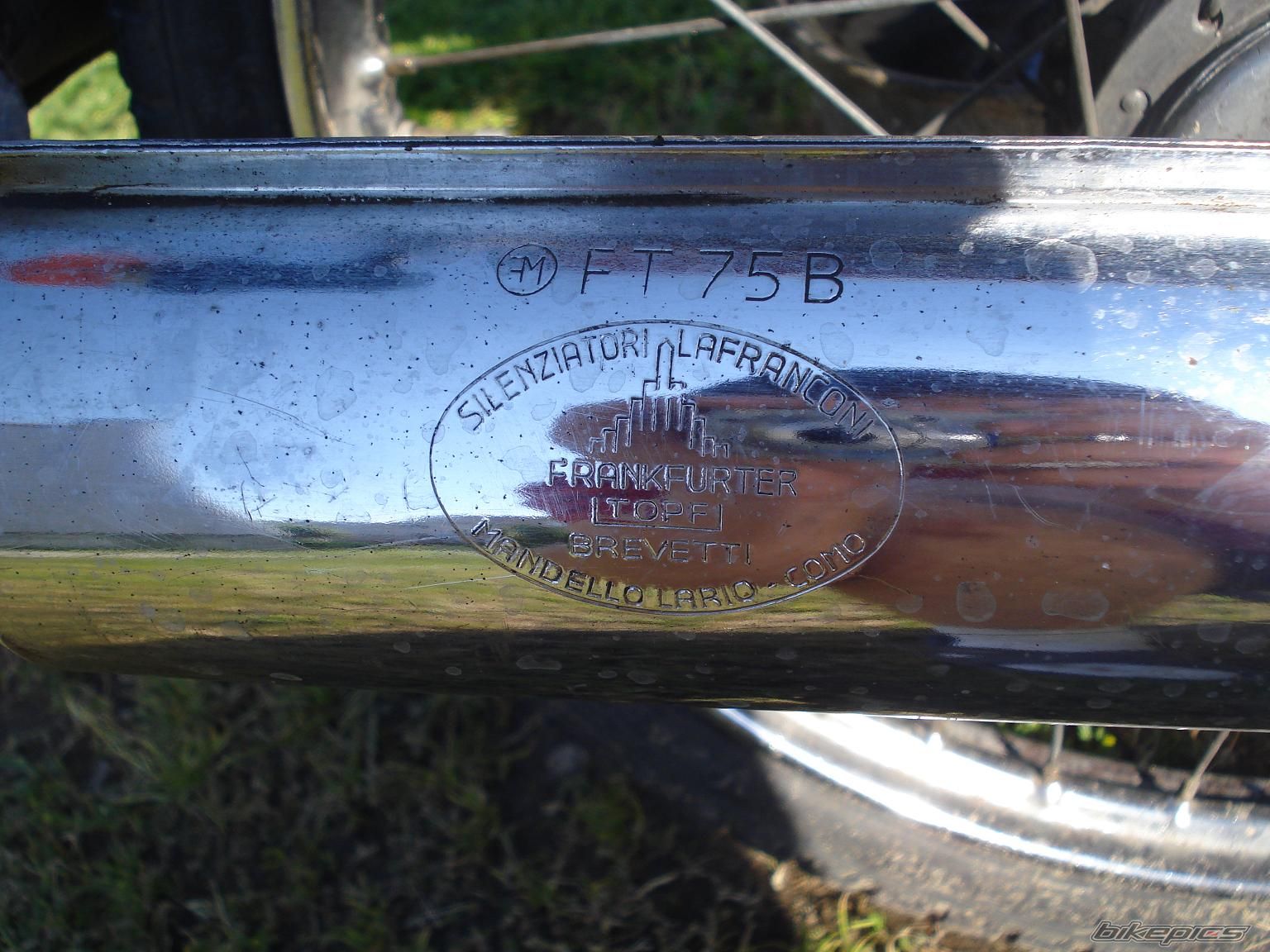 Photo 1631349