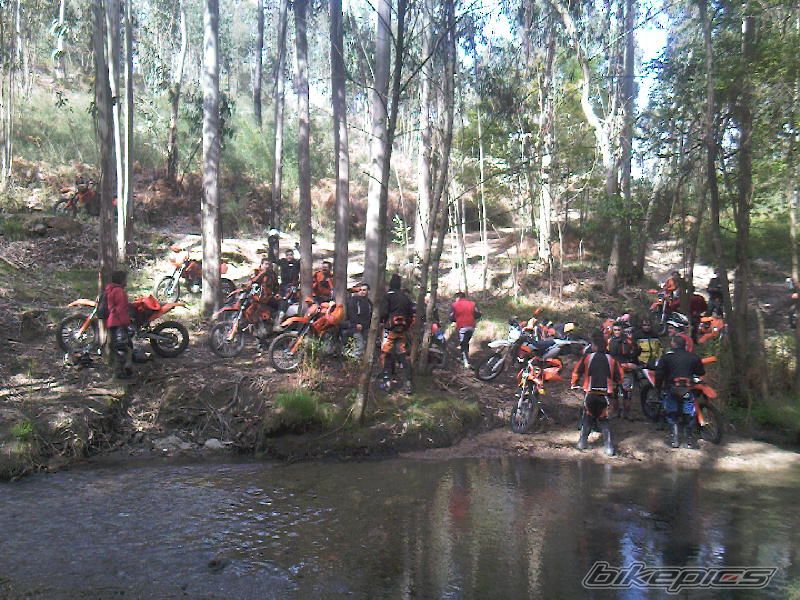 Photo 1631432