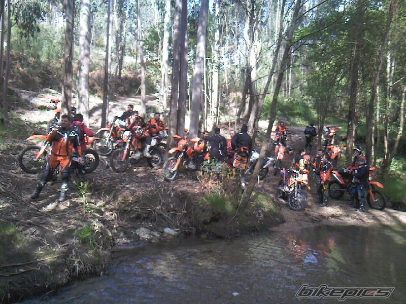 Photo 1631435