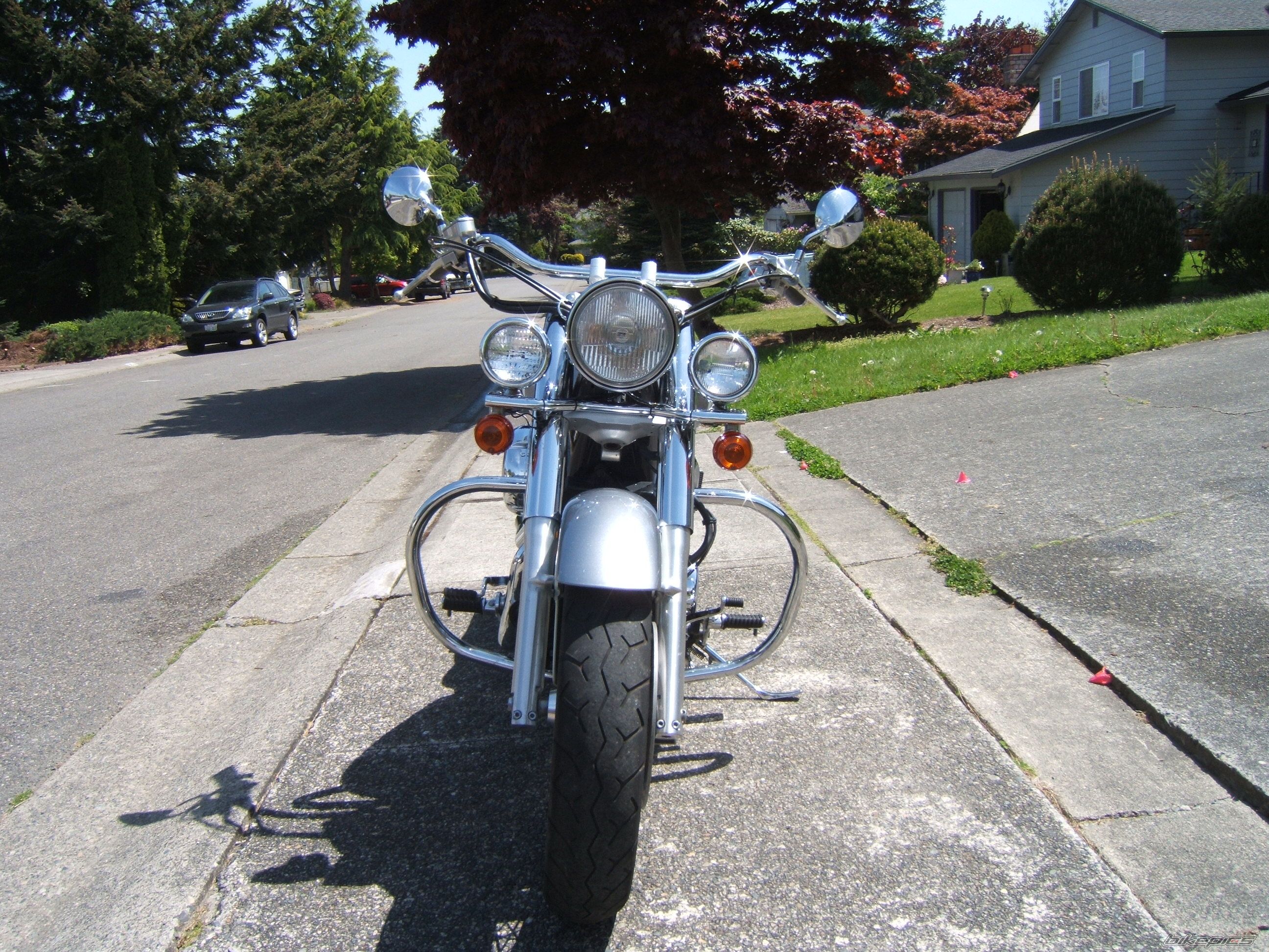 Photo 1631445