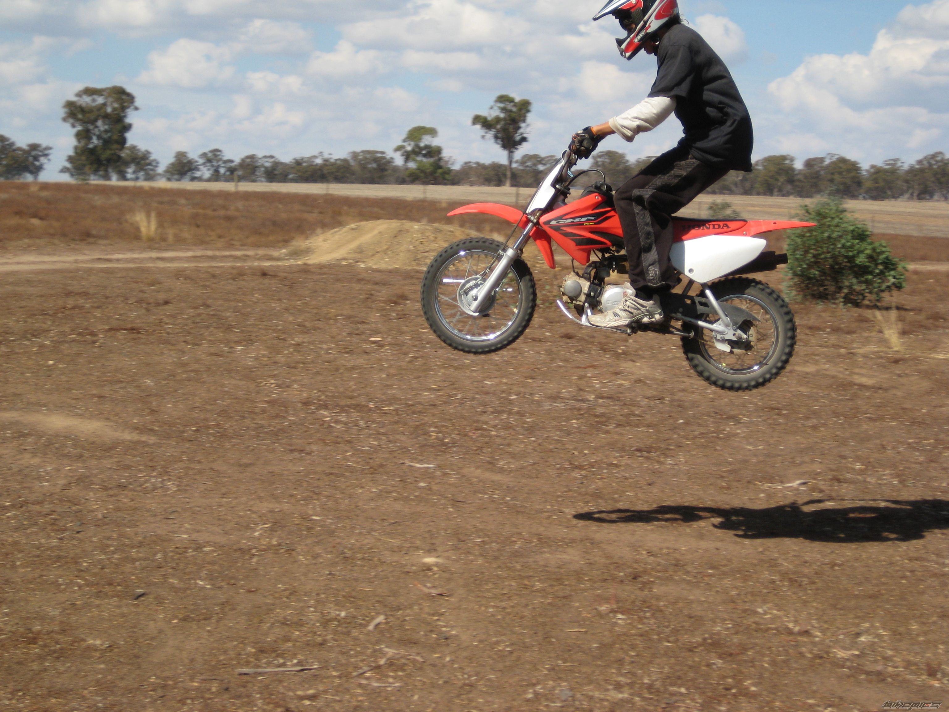 Photo 1631446
