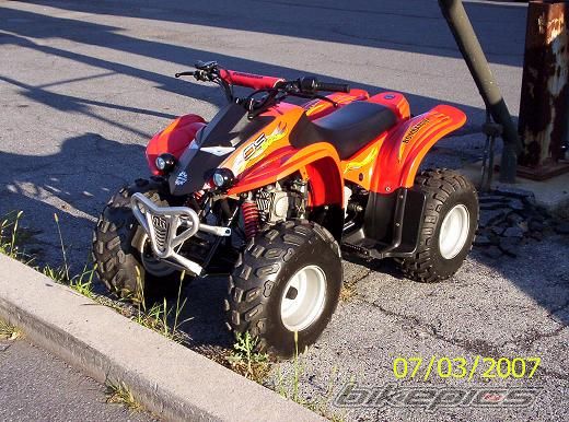 Photo 1631498