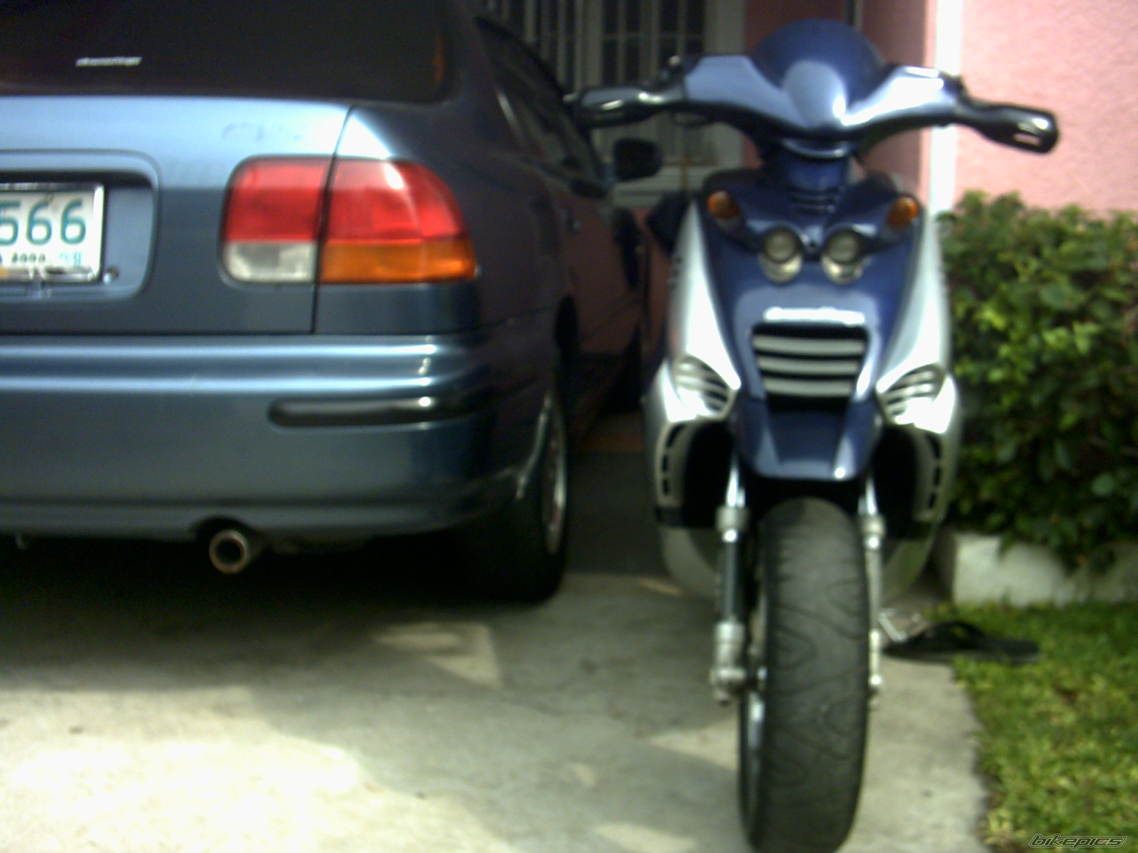 Photo 1631526