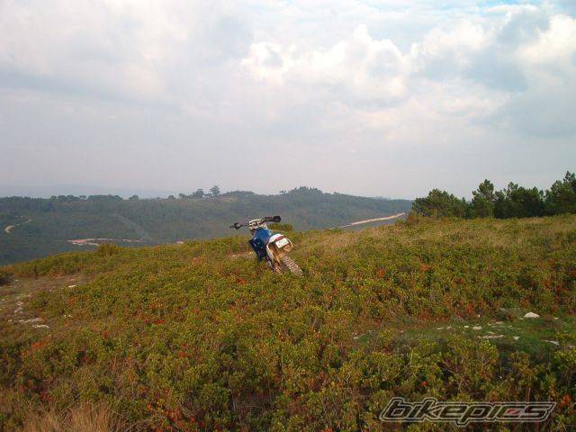 Photo 163155