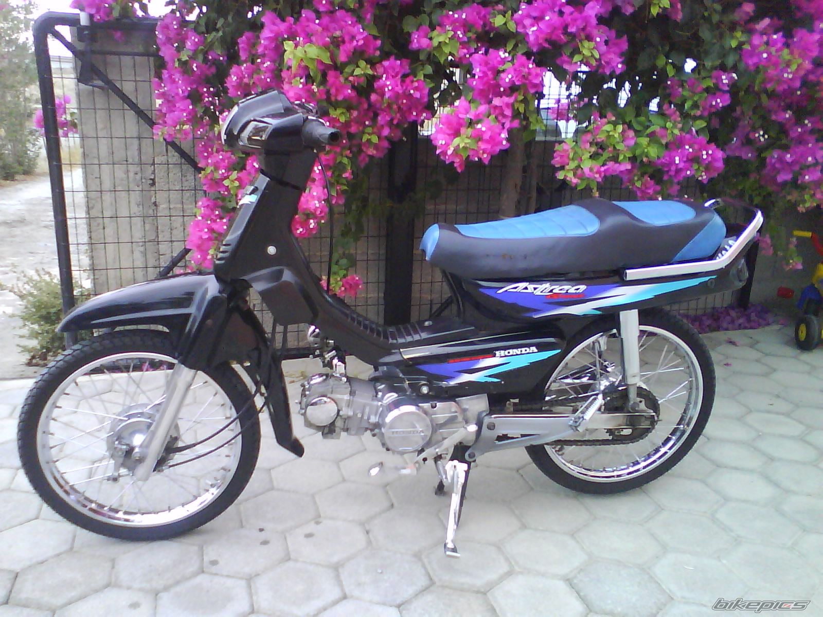Photo 1631552