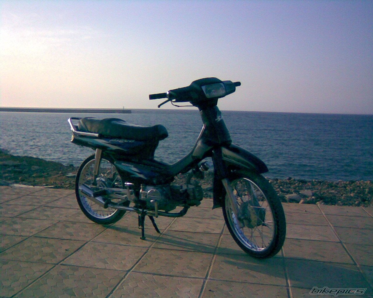 Photo 1631553