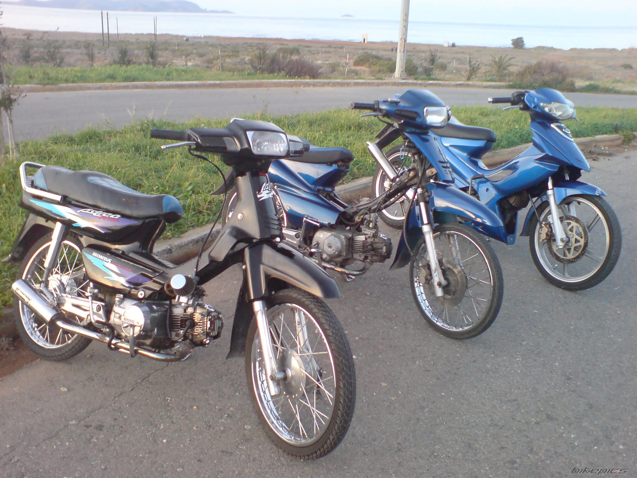 Photo 1631554