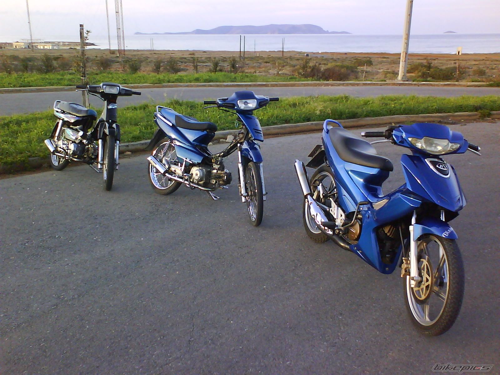 Photo 1631555
