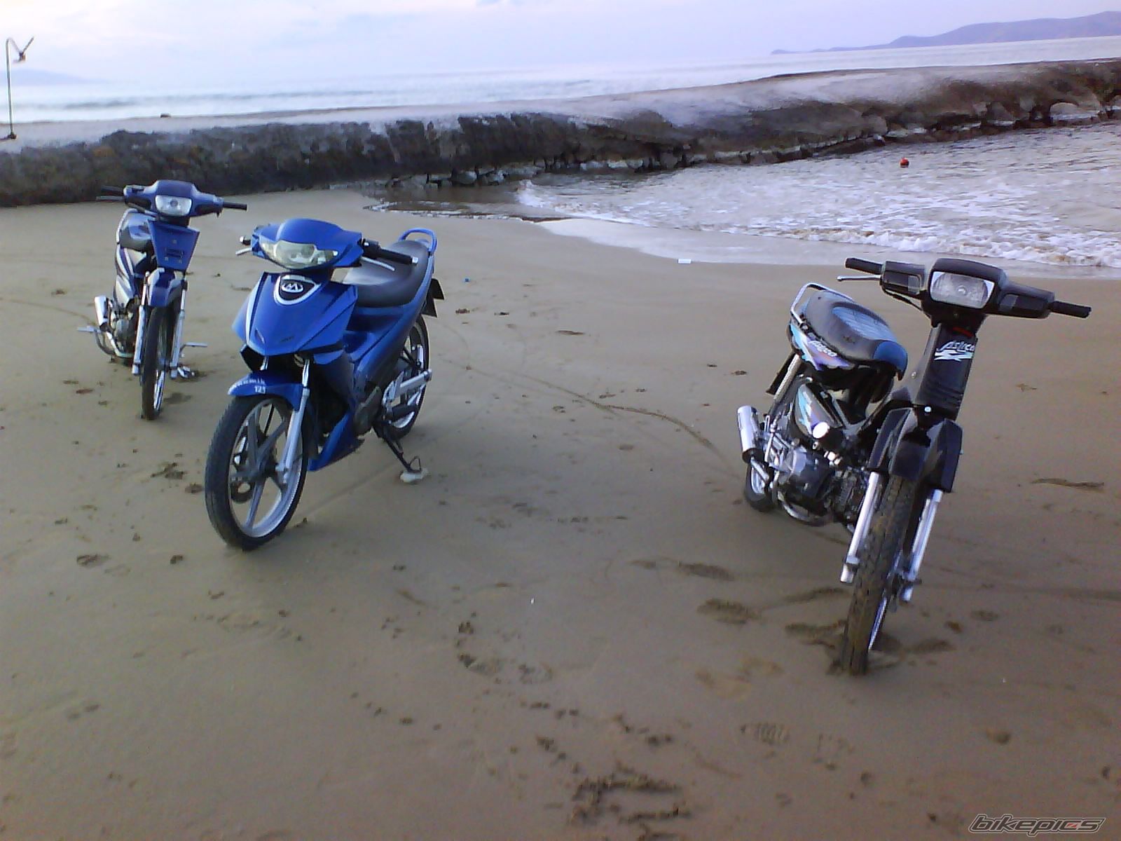 Photo 1631557