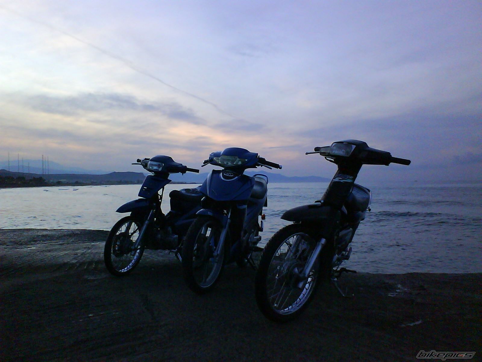 Photo 1631559