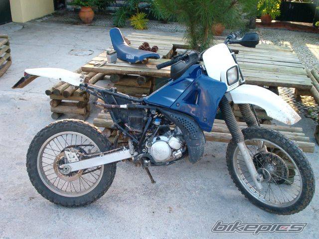 Photo 163157