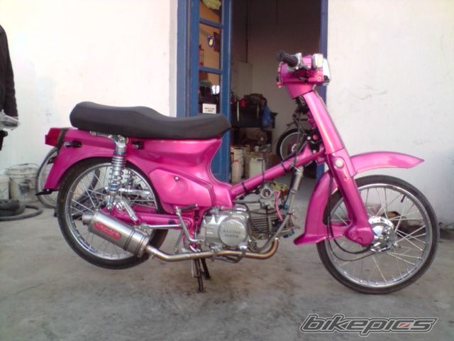 Photo 1631582