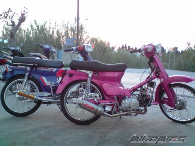 Photo 1631589