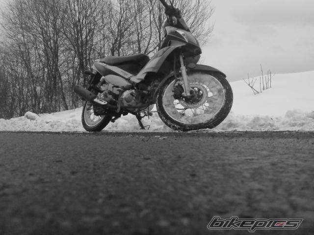 Photo 1631634
