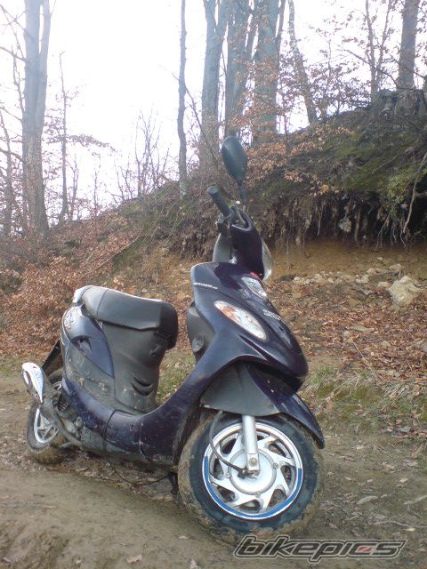 Photo 1631645