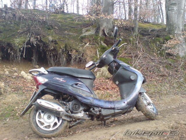 Photo 1631646