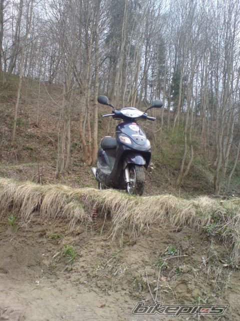 Photo 1631647
